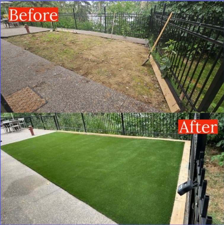 A dramatic before and after transformation showing a dirt yard replaced with low-maintenance artificial turf and a clean border.