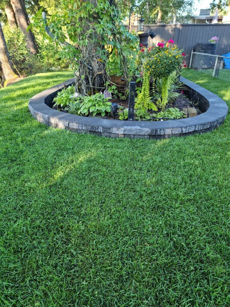 A professionally installed circular retaining wall made of dark grey blocks surrounding a large tree in a Prince George backyard.
